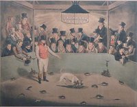 Billy, the celebrated Rat Killing Dog, London, Circa 1823