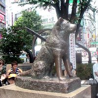 Statue of Hachiko in Shibuya