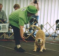 Musical FreestyleA Dog and handler perform in a musical freestyle competition.