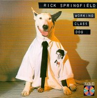 Rick Springfield's Dog Ronnie, a bull <b>terrier</b>/Great Dane mix appeared on several of his album covers.