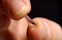 A microchip impant