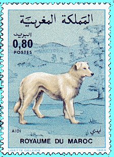 This postage stamp features an Aidi.